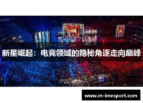 新星崛起：电竞领域的隐秘角逐走向巅峰