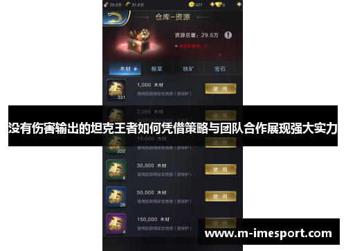 没有伤害输出的坦克王者如何凭借策略与团队合作展现强大实力