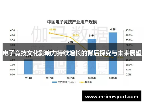 电子竞技文化影响力持续增长的背后探究与未来展望