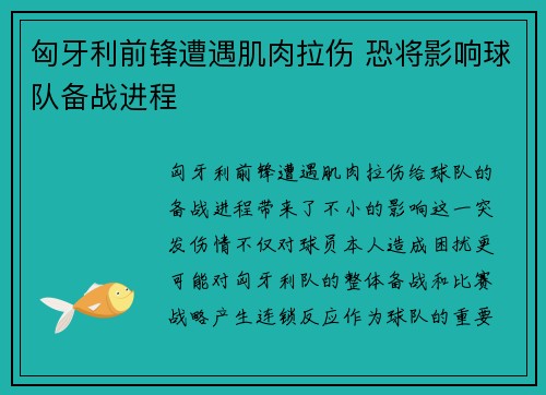 匈牙利前锋遭遇肌肉拉伤 恐将影响球队备战进程