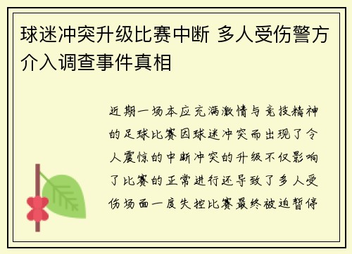 球迷冲突升级比赛中断 多人受伤警方介入调查事件真相
